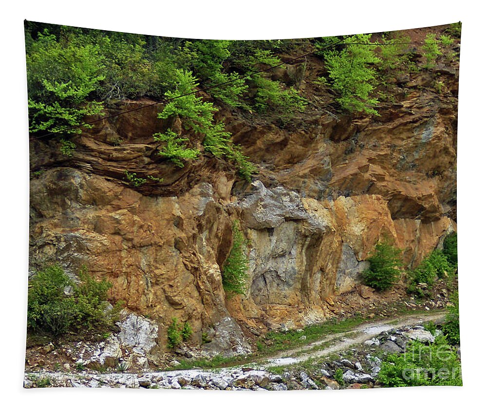 Mine Tapestry featuring the photograph Path To Mine 2 by Lydia Holly