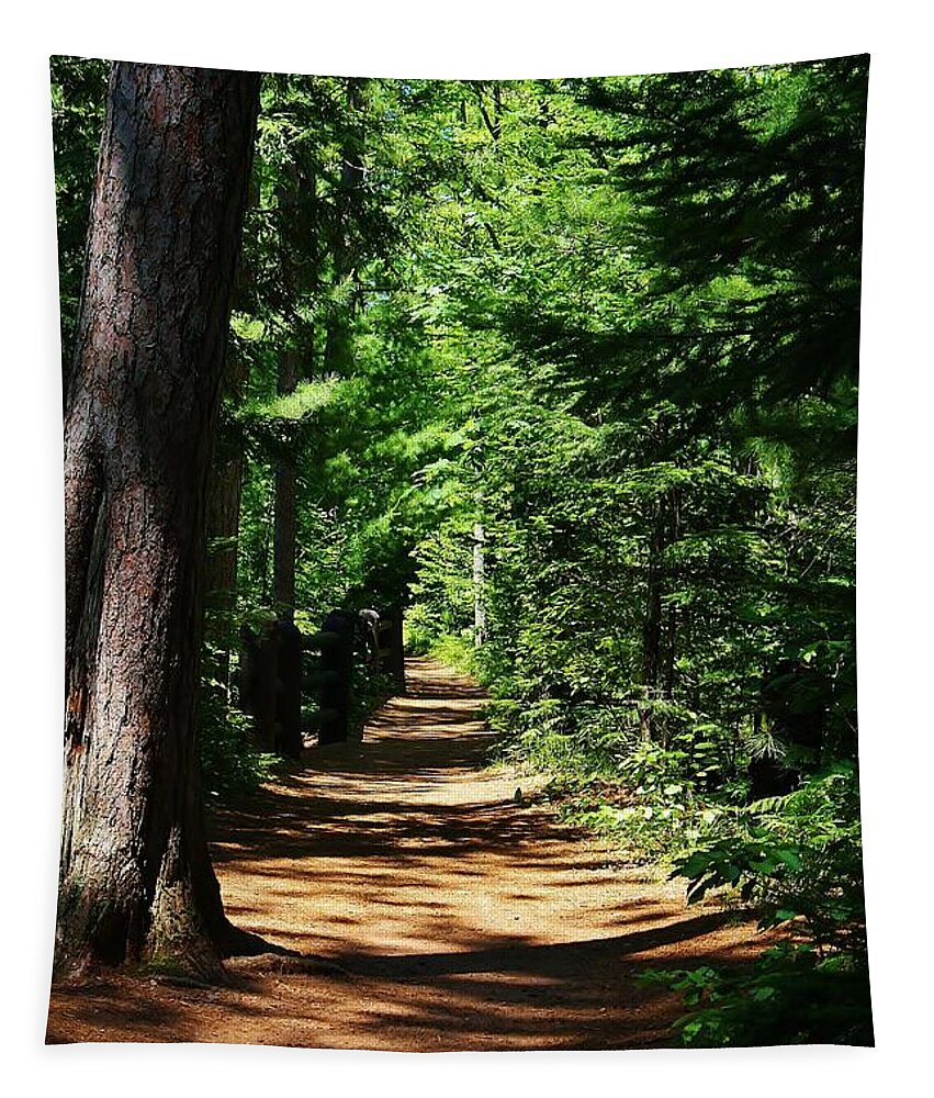 Pathe Tapestry featuring the photograph Pathway to Peacefulness by Bruce Bley