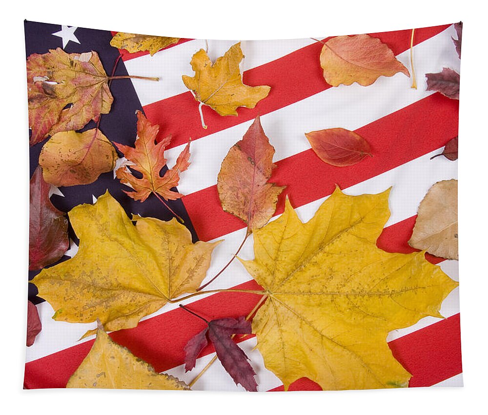 Usa Tapestry featuring the photograph Patriotic Autumn Colors by James BO Insogna