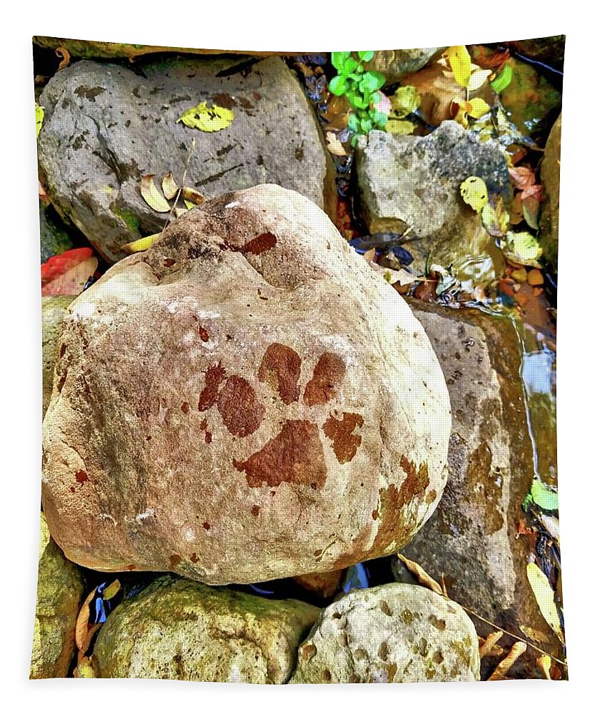Puppy Tapestry featuring the photograph Paws on the rocks by Bonny Puckett
