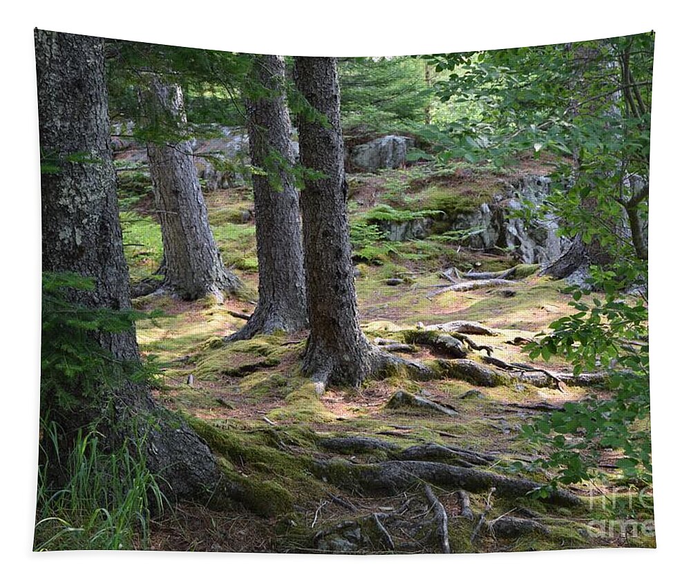 Barrieloustark Tapestry featuring the photograph This Is Where the Elves Must Live by Barrie Stark
