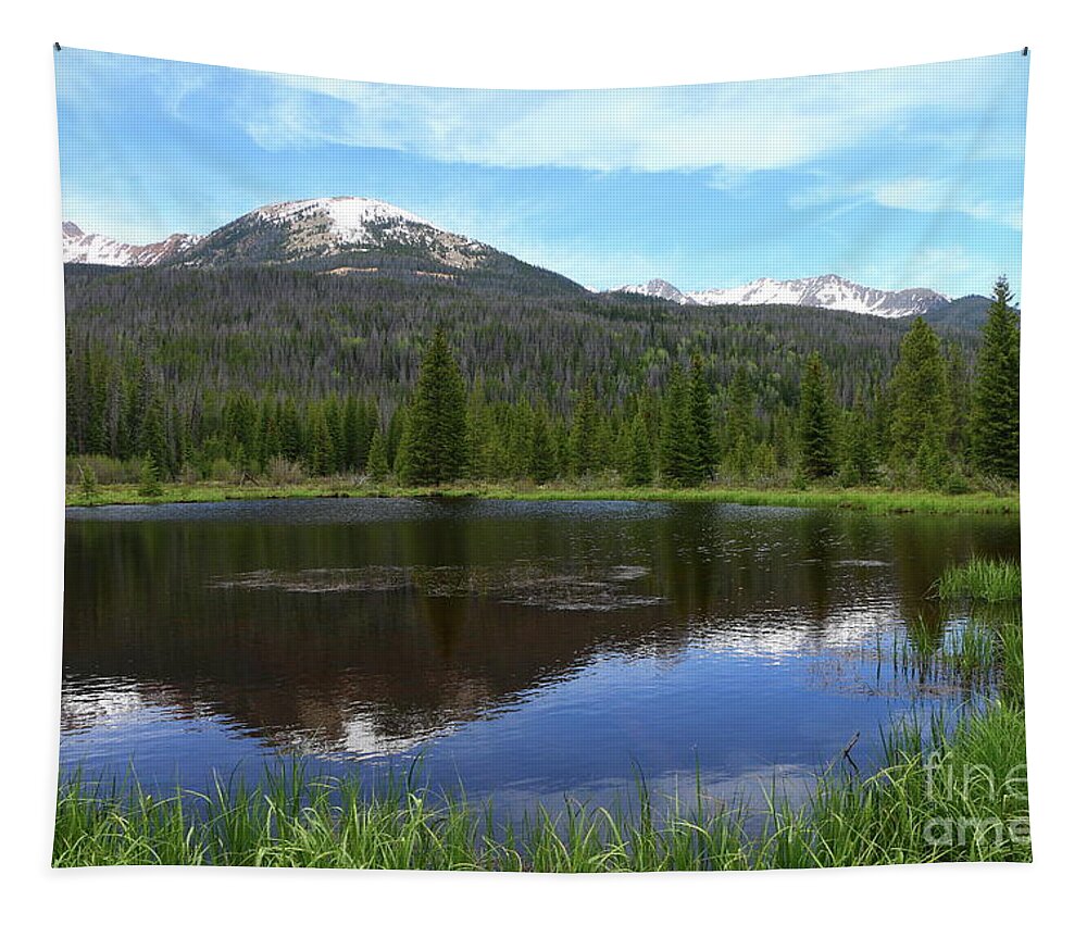  Colorado Tapestry featuring the photograph Peaceful Beaver Ponds View by Christiane Schulze Art And Photography