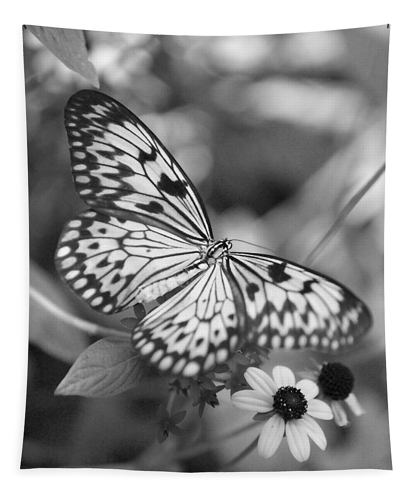 Butterfly Tapestry featuring the photograph Peaceful Butterfly - Black and White by Carol Groenen