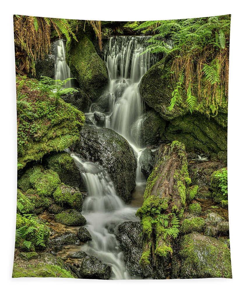 Peaceful Easy Feeling Tapestry featuring the photograph Peaceful Easy Feeling by George Buxbaum