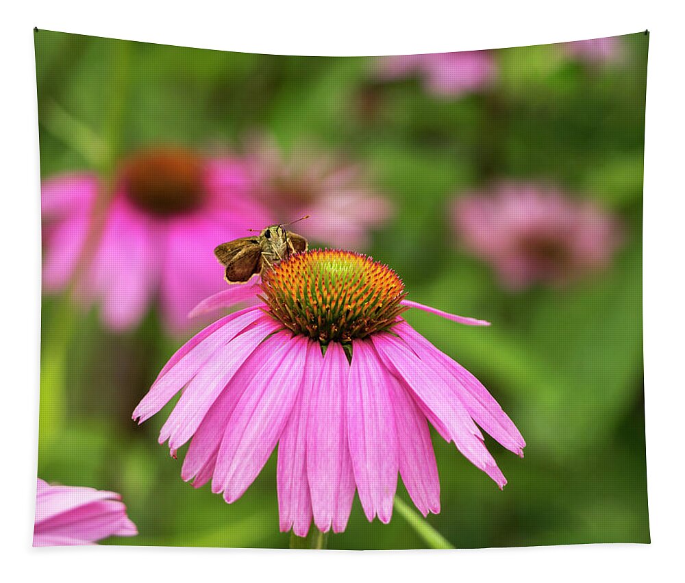 Valentines Day Tapestry featuring the photograph Peaceful Skipper Butterfly by Marianne Campolongo