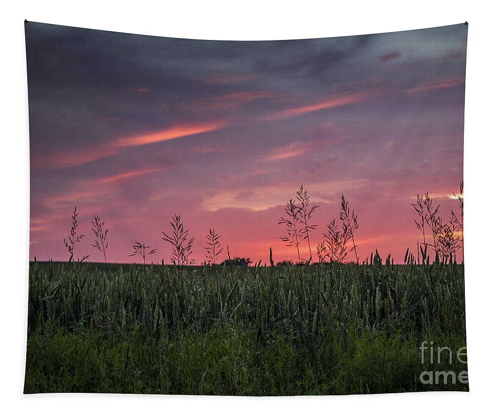 Sunset Tapestry featuring the photograph Peaceful Sunset by Joann Long