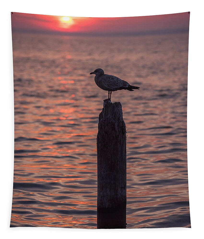 Terry D Photography Tapestry featuring the photograph Peaceful Sunset Seagull Seaside Park NJ by Terry DeLuco
