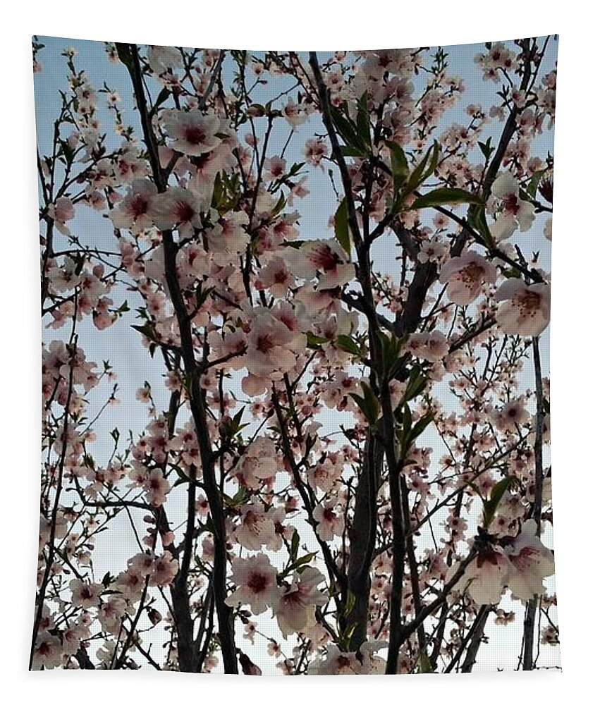 Peach Tapestry featuring the photograph Peach Blossoms by Diamante Lavendar