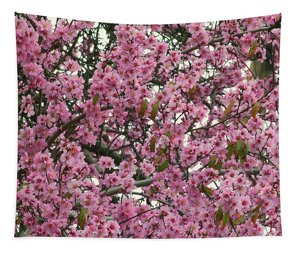 Peach Blossoms Tapestry featuring the photograph Peach Blossoms by Ram Vasudev