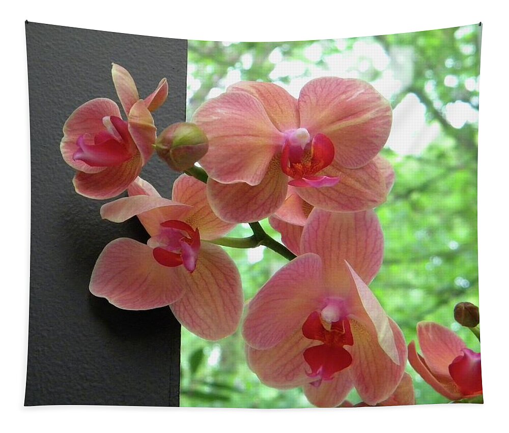 Peach Tapestry featuring the photograph Peach orchids by Manuela Constantin