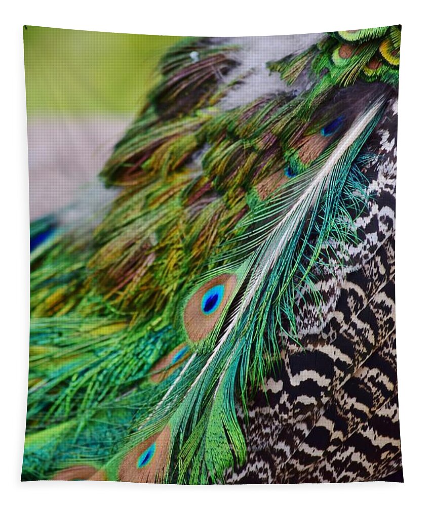 Peacock Tapestry featuring the photograph Peacock by Nicole Lloyd
