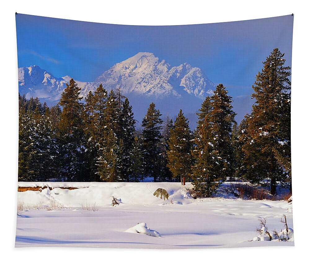 Tetons Tapestry featuring the photograph Peaking Through by Greg Norrell