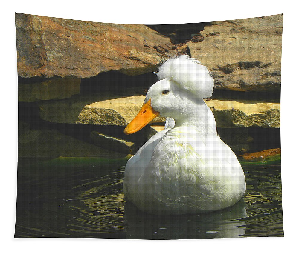 Pekin Pop Top Duck Tapestry featuring the photograph Pekin Pop Top Duck by Sandi OReilly