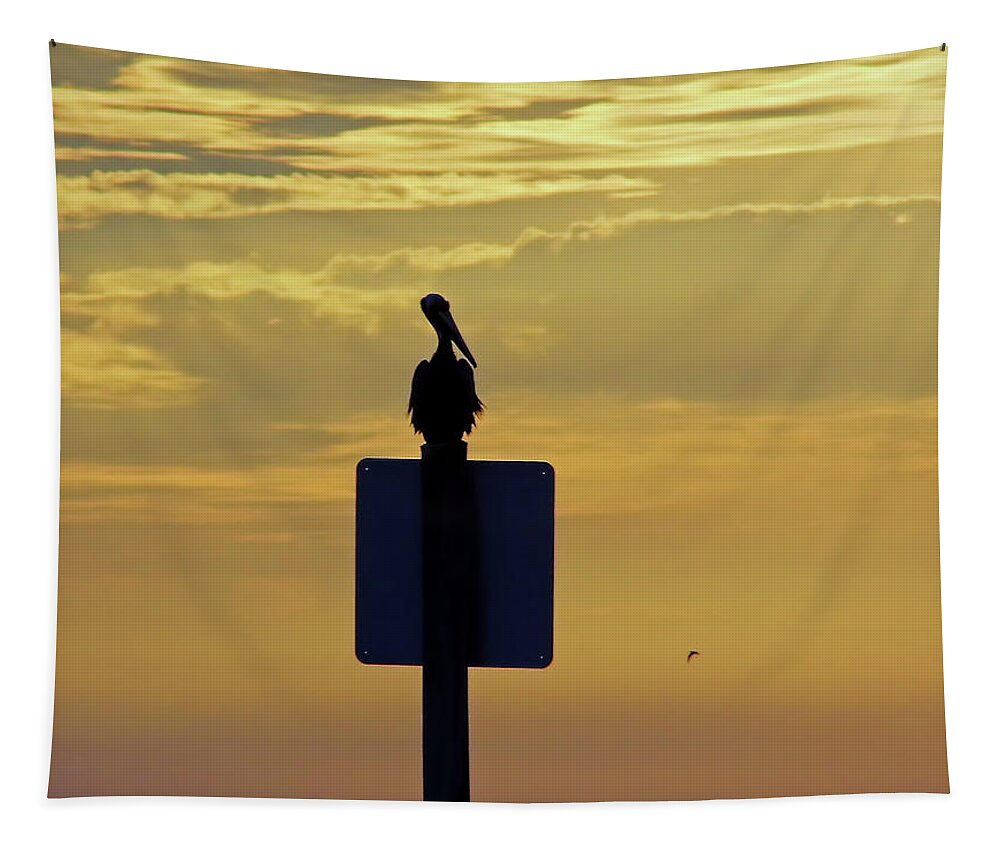 Sunset Tapestry featuring the photograph Pelican At Sunset by D Hackett