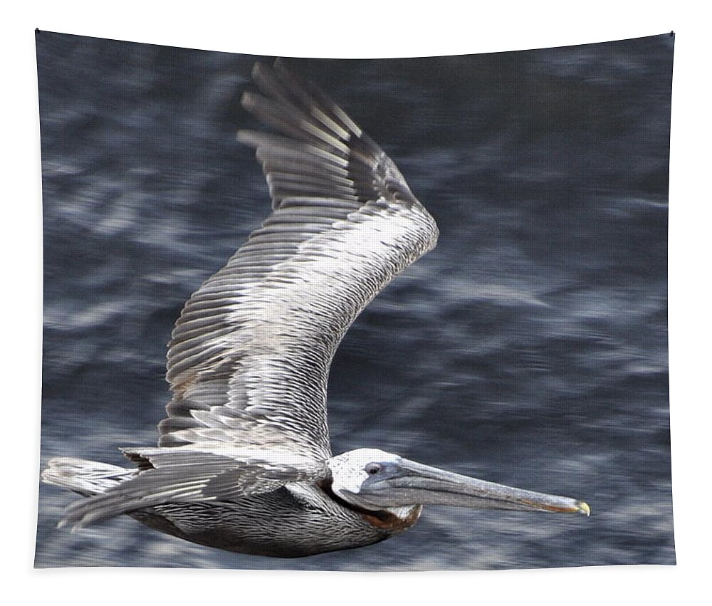 Pelican Tapestry featuring the photograph Pelican Flight by Glenn Gordon