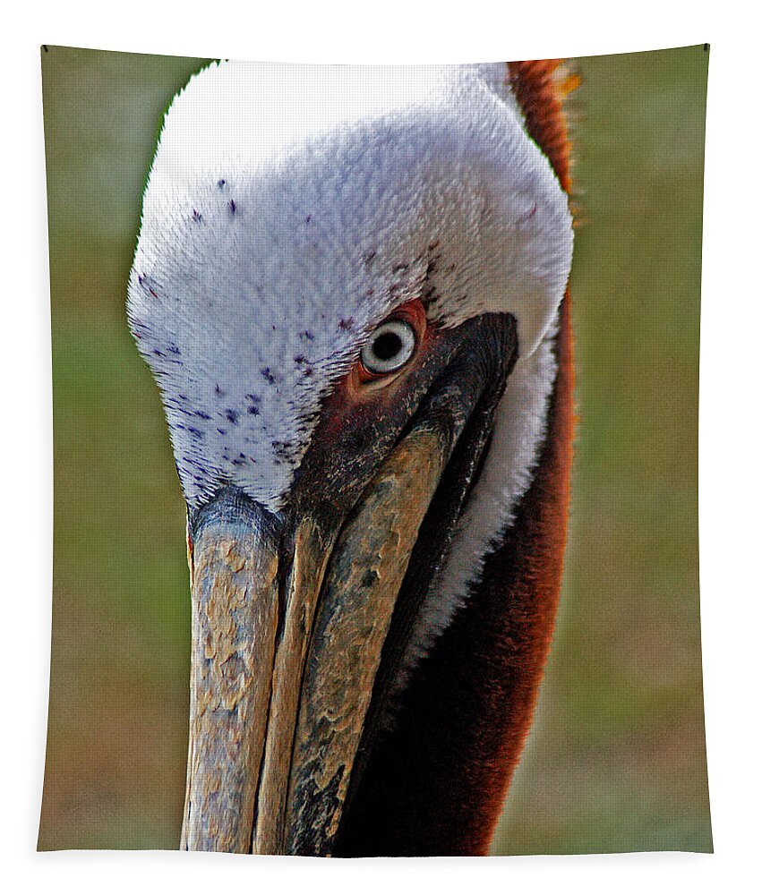 Pelican Tapestry featuring the painting Pelican Head by Michael Thomas