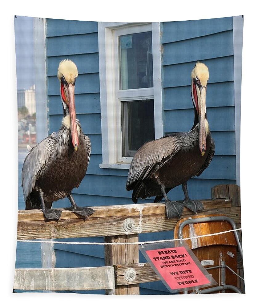 Pelican Tapestry featuring the photograph Pelican Pals - 3 by Christy Pooschke