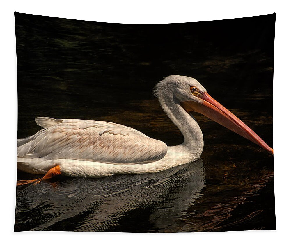 Pelican Tapestry featuring the photograph Pelican Swimming in Salisbury by Bill Swartwout