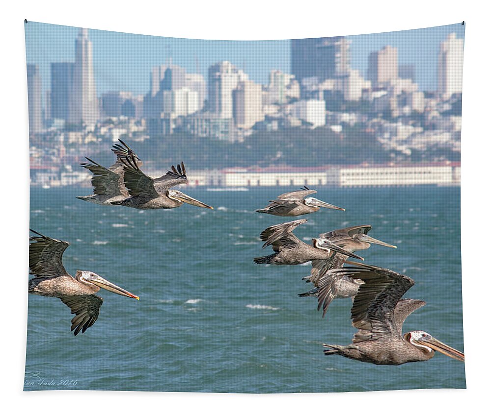 Wildlife Tapestry featuring the photograph Pelicans Over San Francisco Bay by Brian Tada