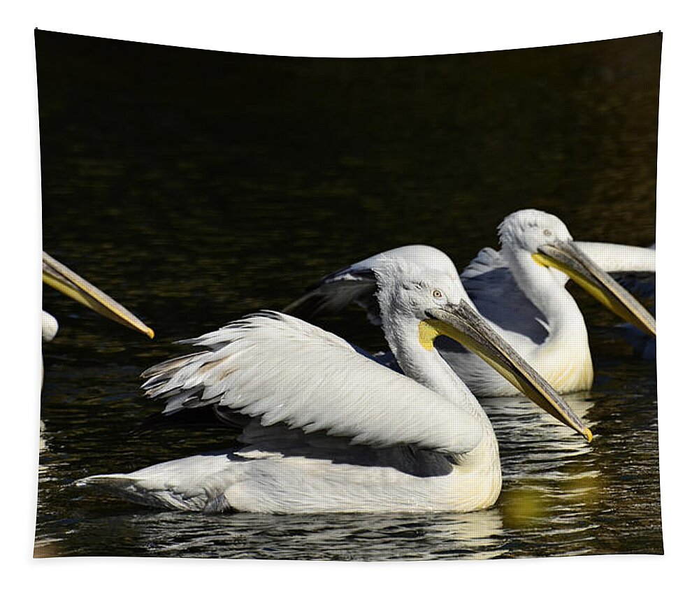 Pelican Tapestry featuring the photograph Pelicans by Saija Lehtonen