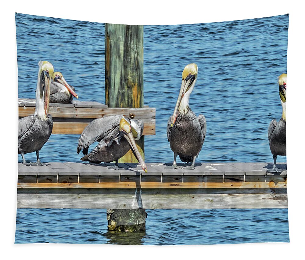 Pelican Tapestry featuring the photograph Pelicans Waiting for Their Ship to Come In by Bob Slitzan