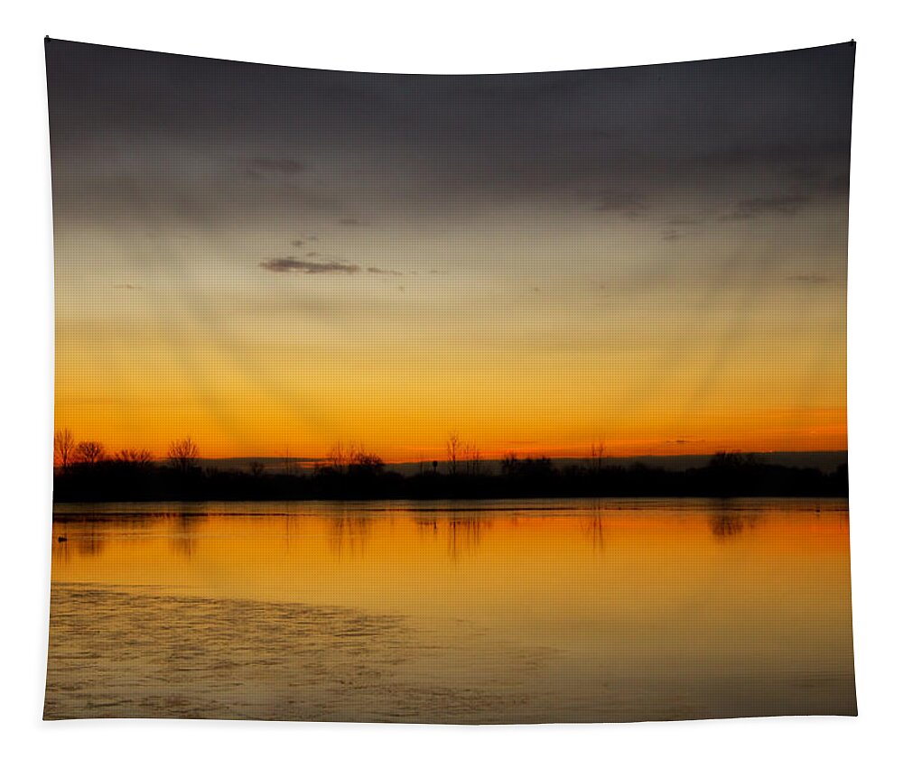 Pella Ponds Tapestry featuring the photograph Pella Ponds December 16th Sunrise by James BO Insogna