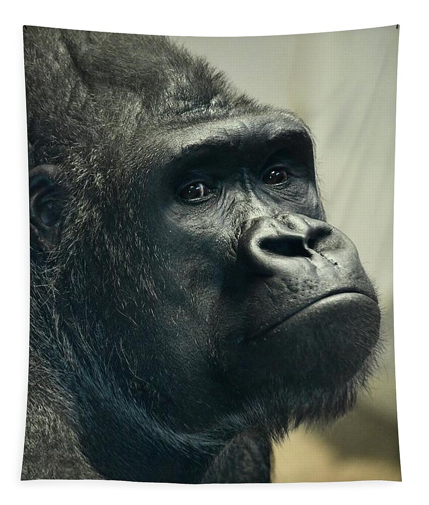 Ape Tapestry featuring the photograph Pensive Gorilla by Richard Bryce and Family