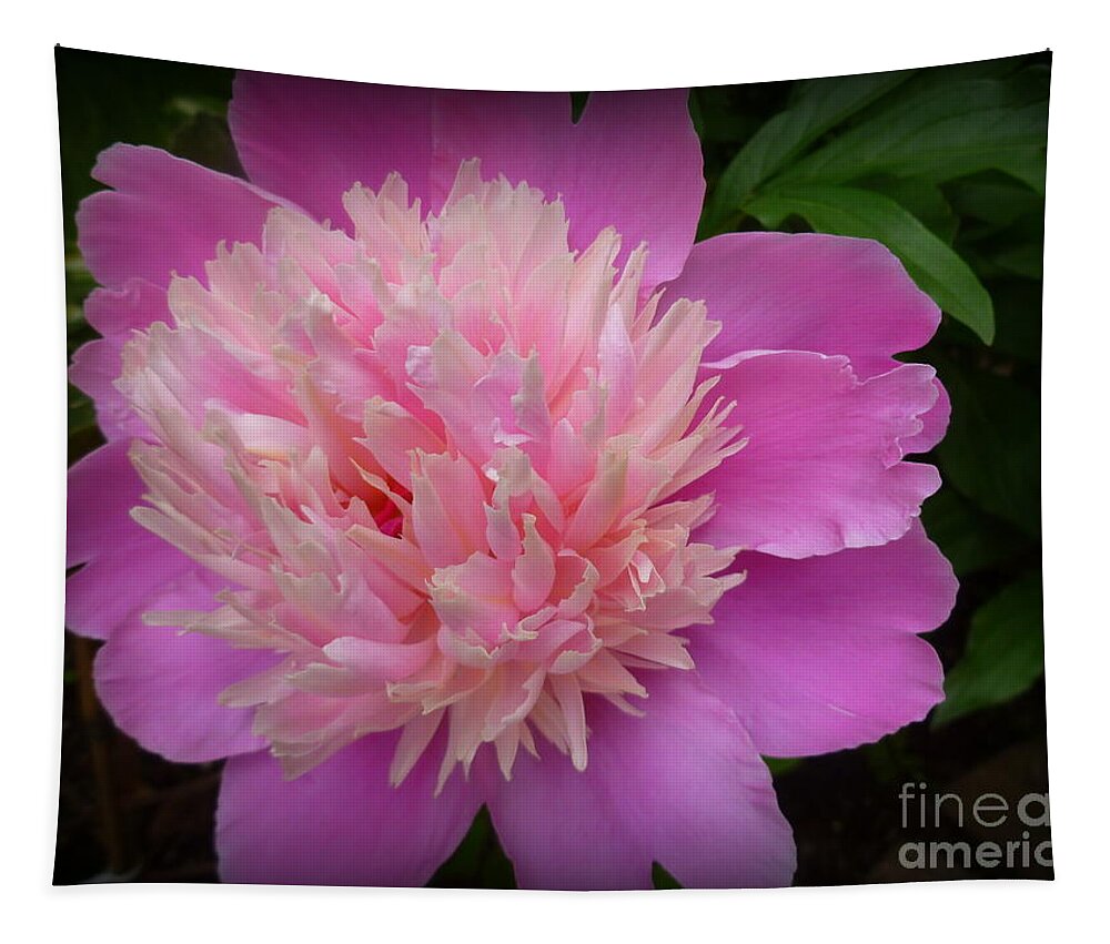 Beauty Tapestry featuring the photograph Peony Bowl of Beauty by Lingfai Leung