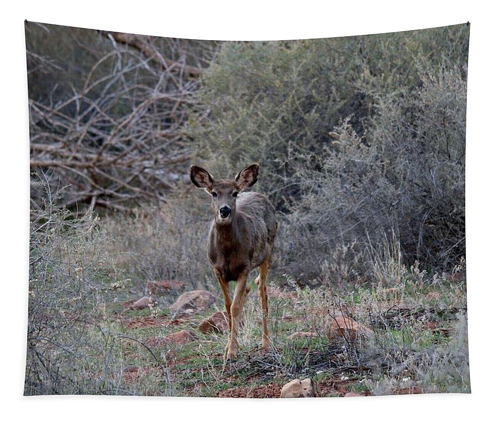 Deer Tapestry featuring the photograph People Watching by Christy Pooschke