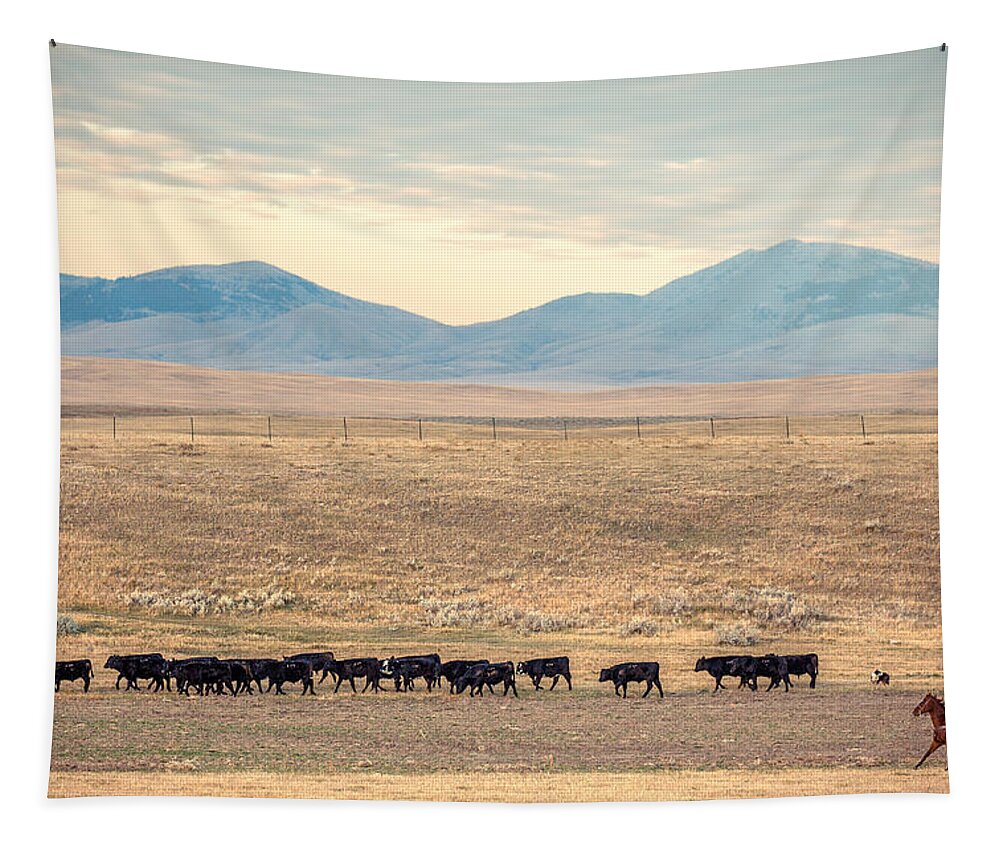 Cattle Tapestry featuring the photograph People's Creek Push by Todd Klassy