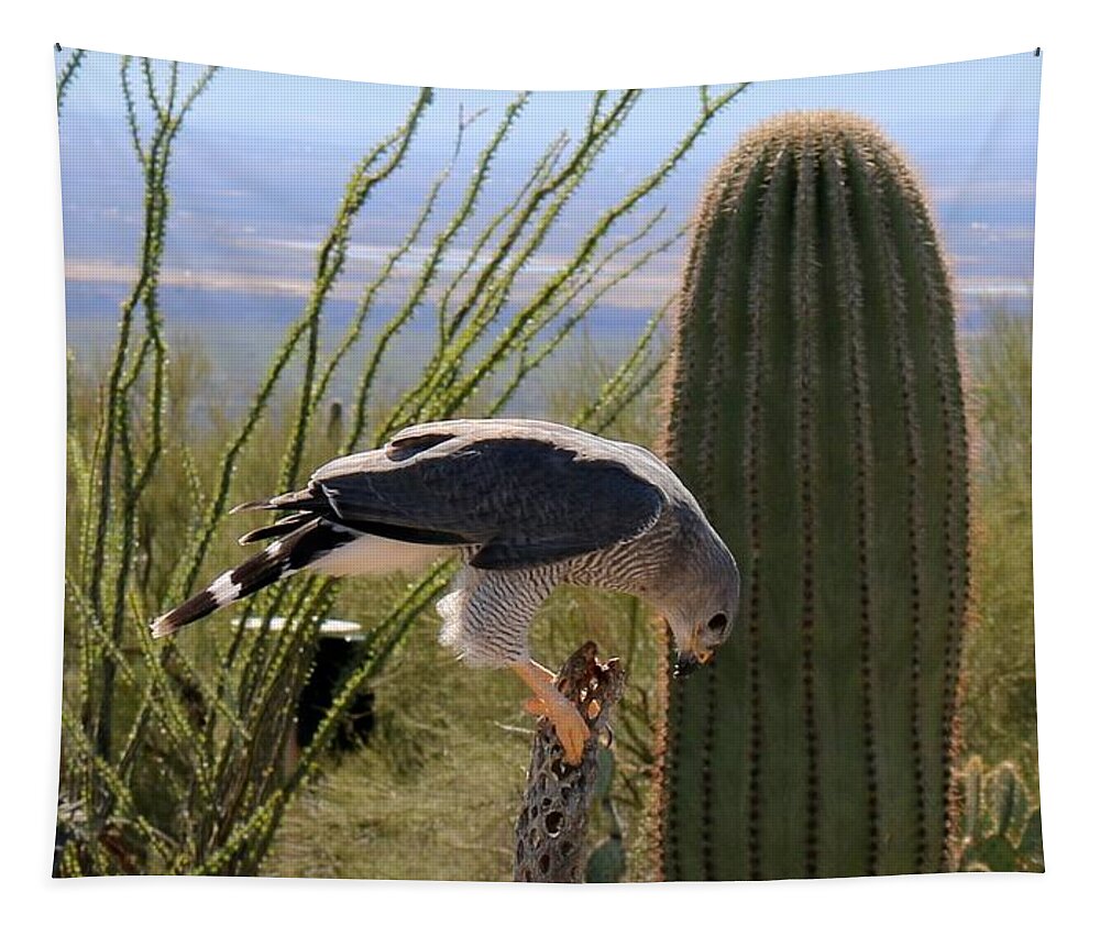 Peregrine Falcon Tapestry featuring the photograph Peregrine Falcon - 2 by Christy Pooschke