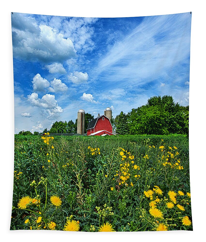 Red Tapestry featuring the photograph Perfectly Summer by Phil Koch