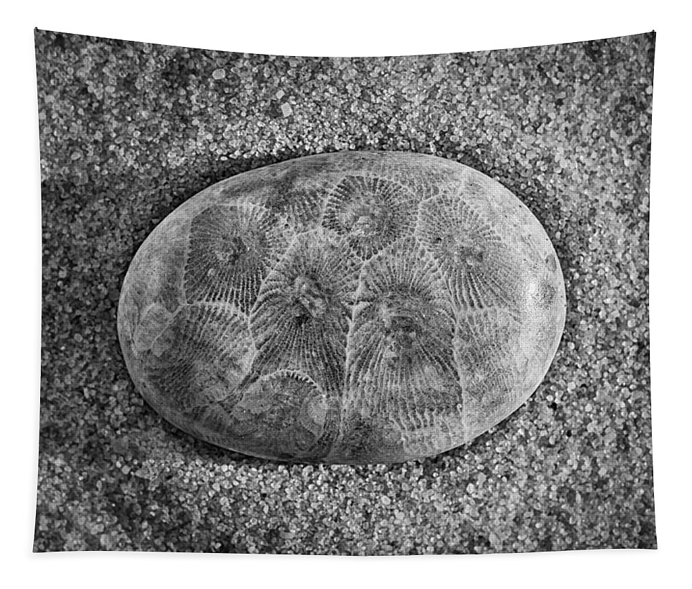 Petoskey Tapestry featuring the photograph Petoskey Stone in Black and White by Matt Hammerstein