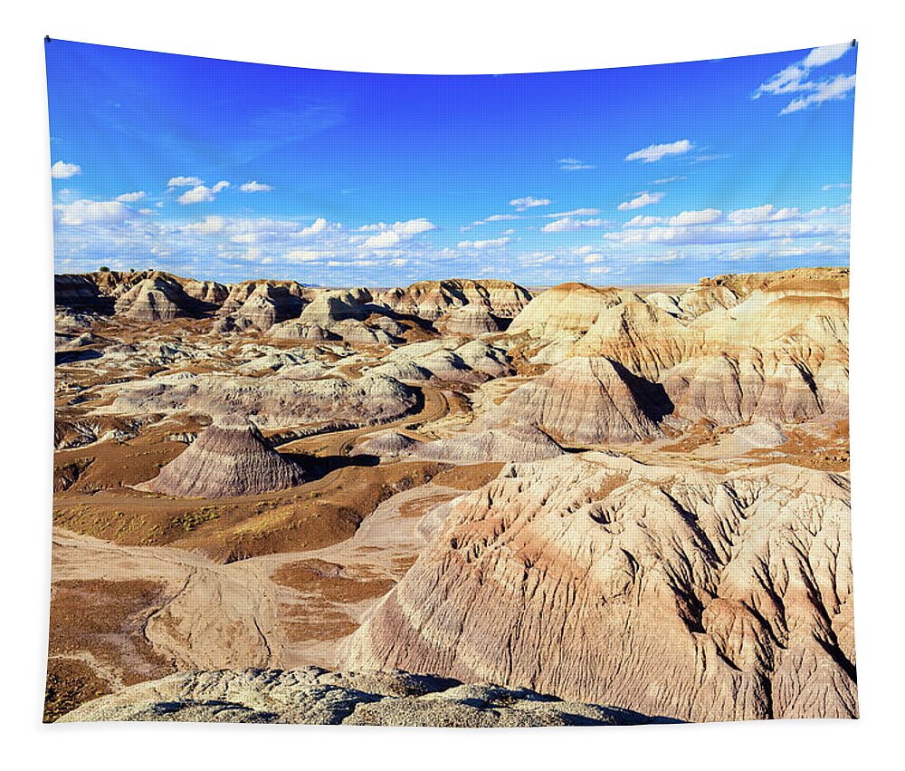 Arizona Tapestry featuring the photograph Petrified Forest IV by Raul Rodriguez