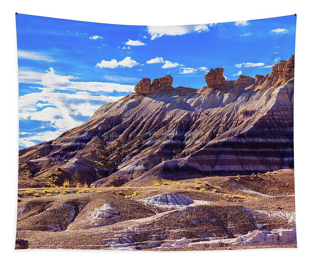 Arizona Tapestry featuring the photograph Petrified Forest V by Raul Rodriguez