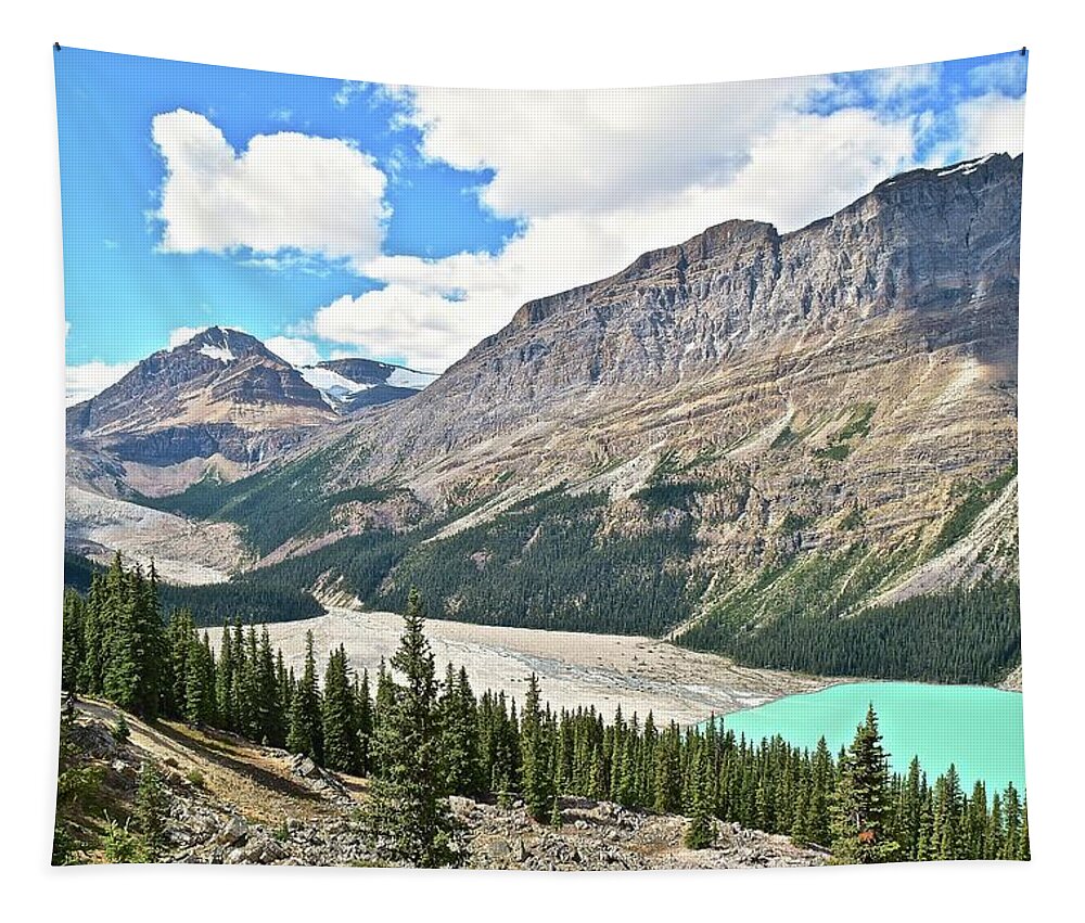 Peyto Tapestry featuring the photograph Peyto in Reverse by Frozen in Time Fine Art Photography