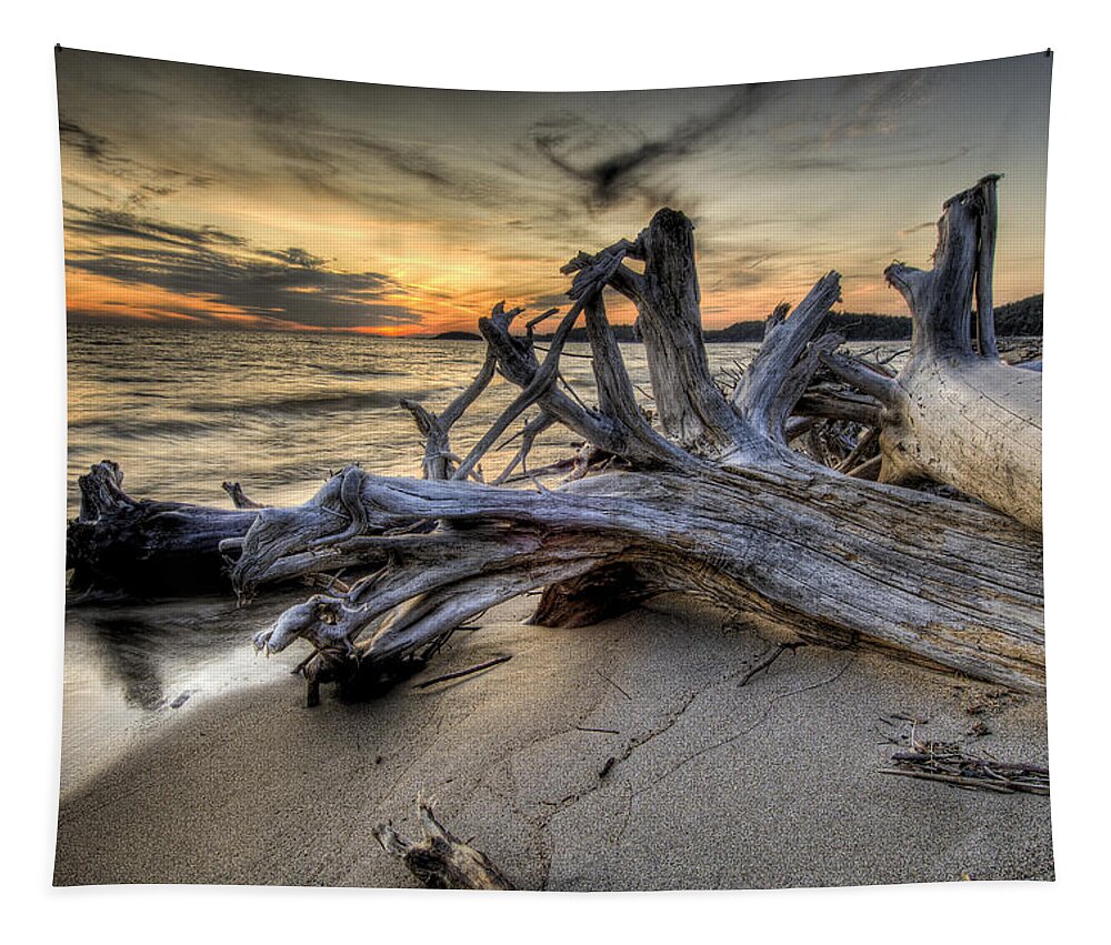 Lake Superior Tapestry featuring the photograph Pic Driftwood by Doug Gibbons