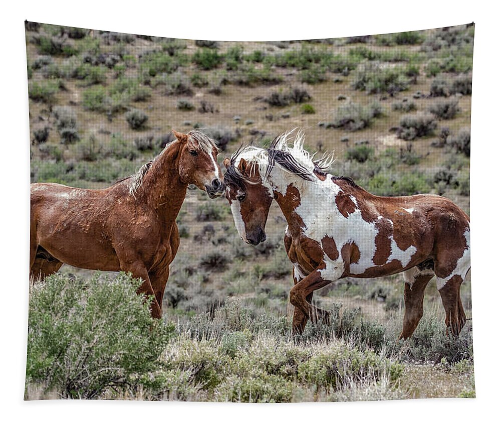 Colorado Tapestry featuring the photograph Picasso and Voodoo 2 by Dawn Key