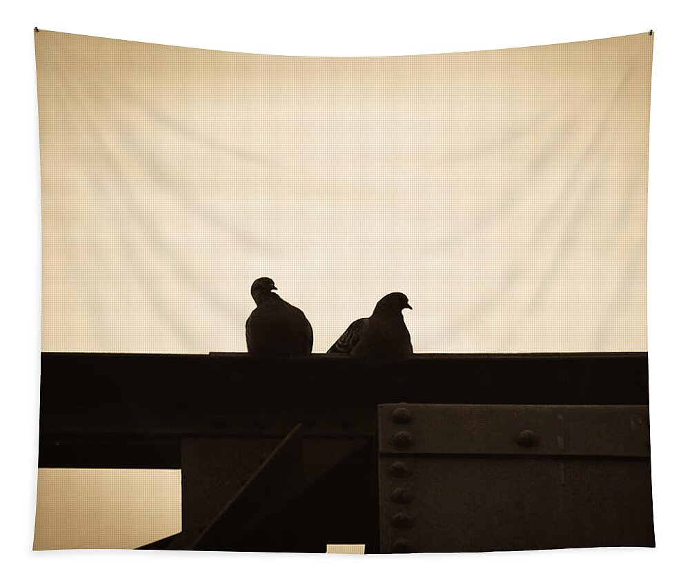 Silhouettes Tapestry featuring the photograph Pigeon and Steel by Bob Orsillo