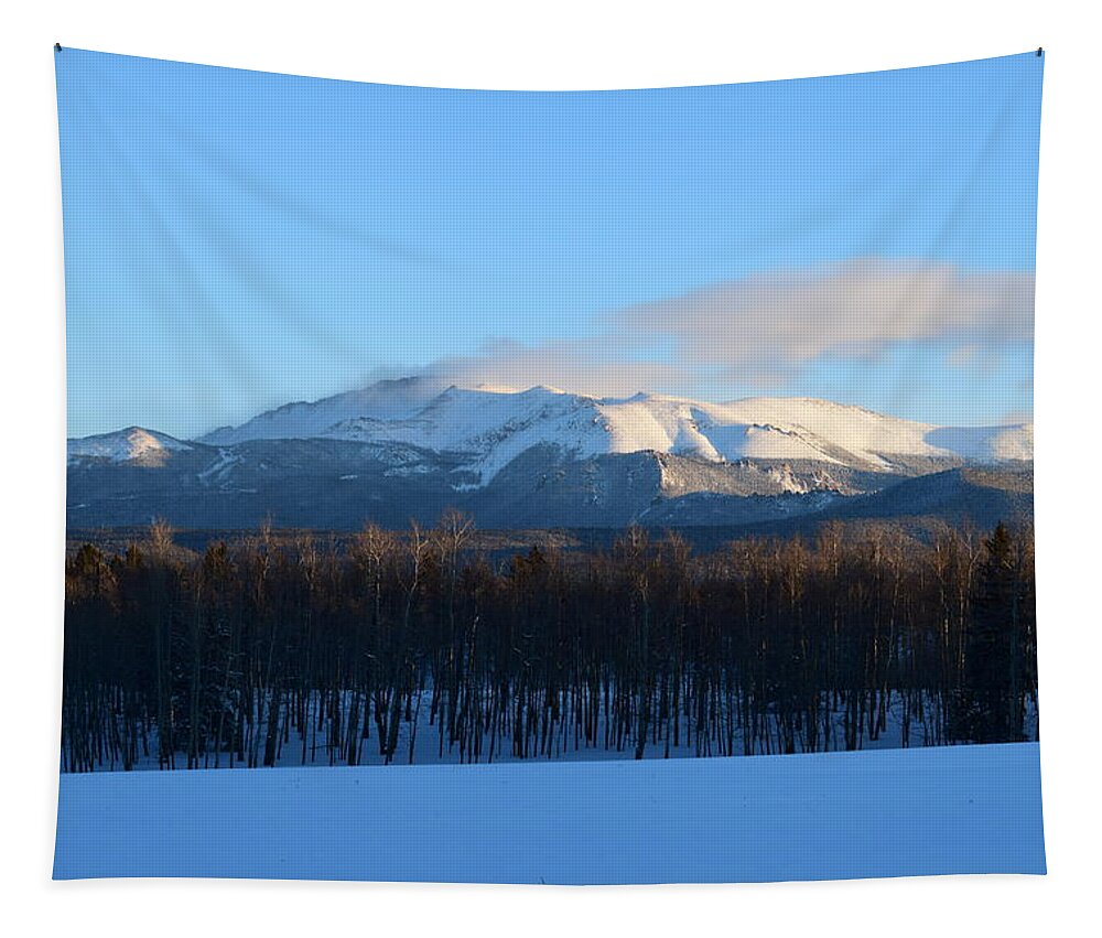 Snow Tapestry featuring the photograph Pikes Peak from CR511 Divide CO by Margarethe Binkley
