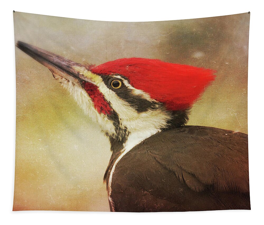 Pileated Tapestry featuring the photograph Pileated Woodpecker with Snowfall by Hermes Fine Art