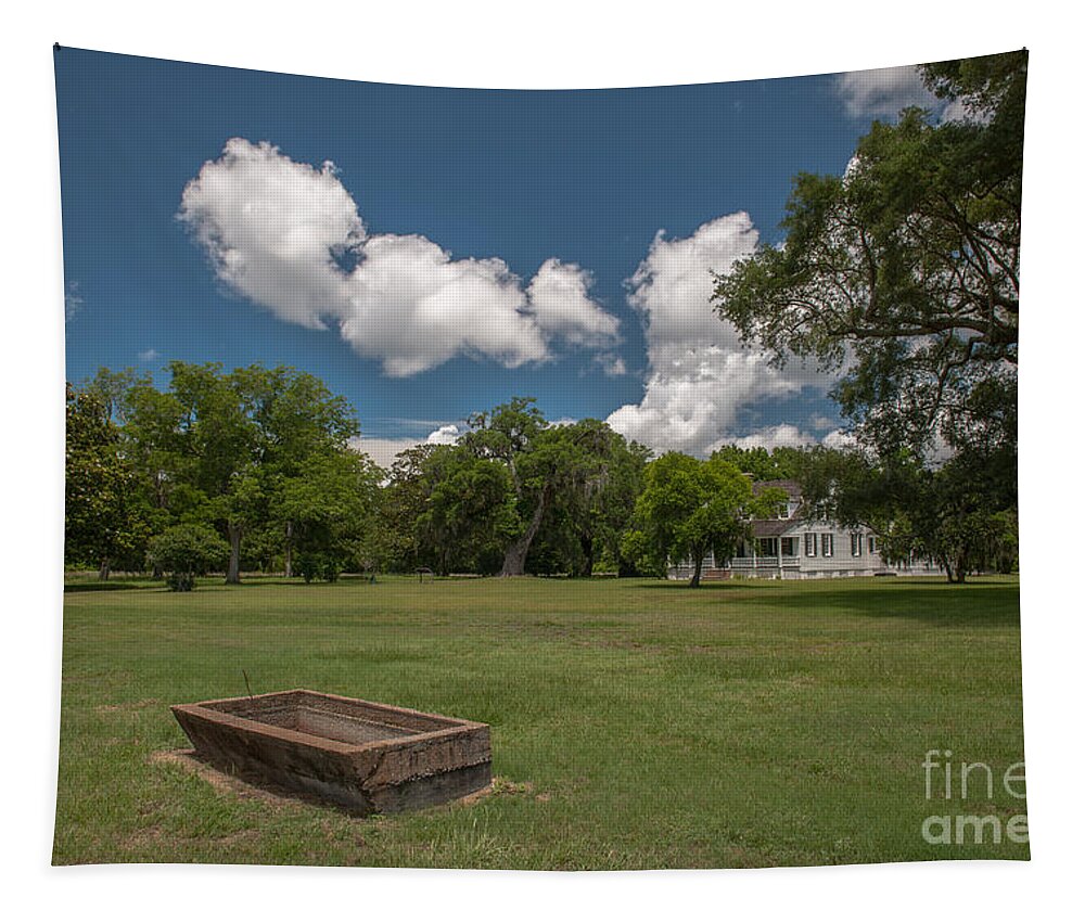 Charles Pinckney Tapestry featuring the photograph Pinckney Historic Grounds by Dale Powell