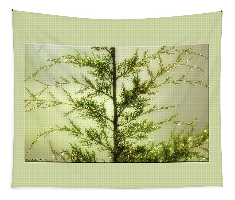 2d Tapestry featuring the photograph Pine Shower by Brian Wallace
