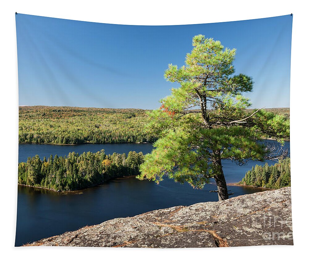 Pine Tapestry featuring the photograph Pine tree with a view by Elena Elisseeva