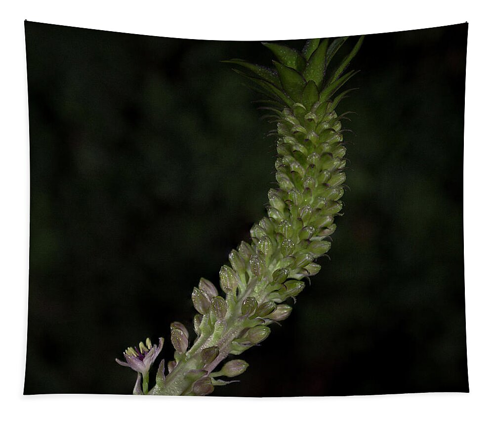 Pineapple Lily Tapestry featuring the photograph Pineapple Lily by John A Rodriguez