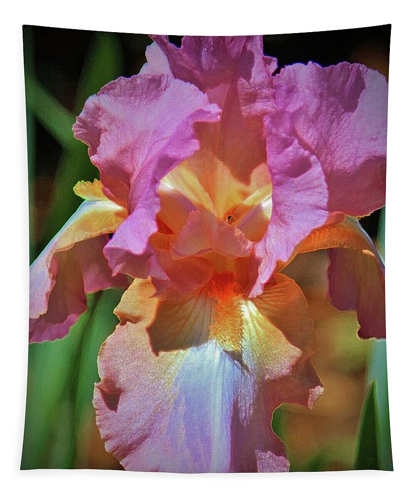 Flower Tapestry featuring the photograph Pink And Orange Iris by Cynthia Guinn