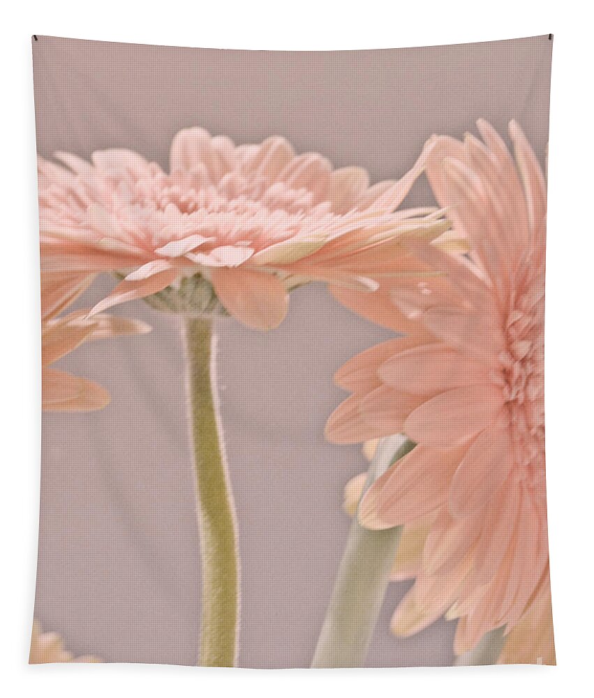 Pink Tapestry featuring the photograph Pink Dreams by Traci Cottingham