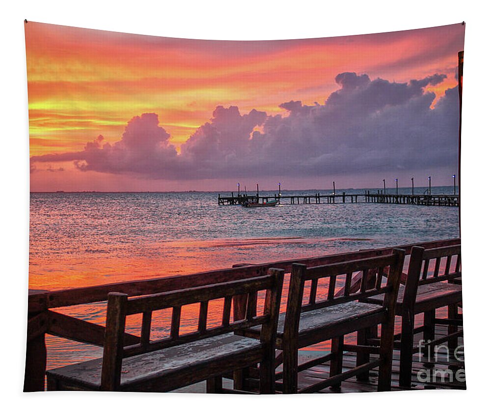 Sunset Tapestry featuring the photograph Pink Fire Sunset by Becqi Sherman