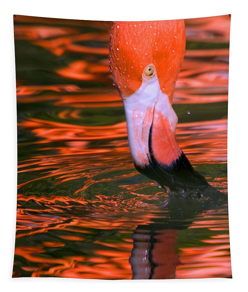 Flamingo Tapestry featuring the photograph Pink Flamingo by Randall Ingalls