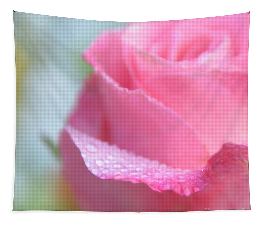 Pink Rose Tapestry featuring the photograph Pink Kiss Out Of The Blue by Olga Hamilton